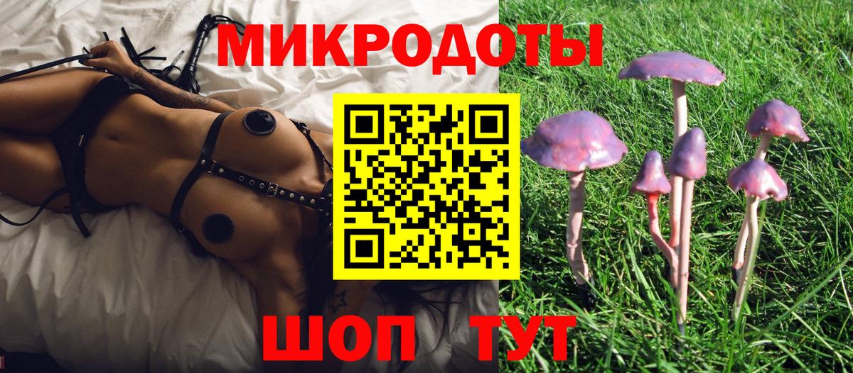 Псилоцибиновые грибы прущие грибы Кизилюрт