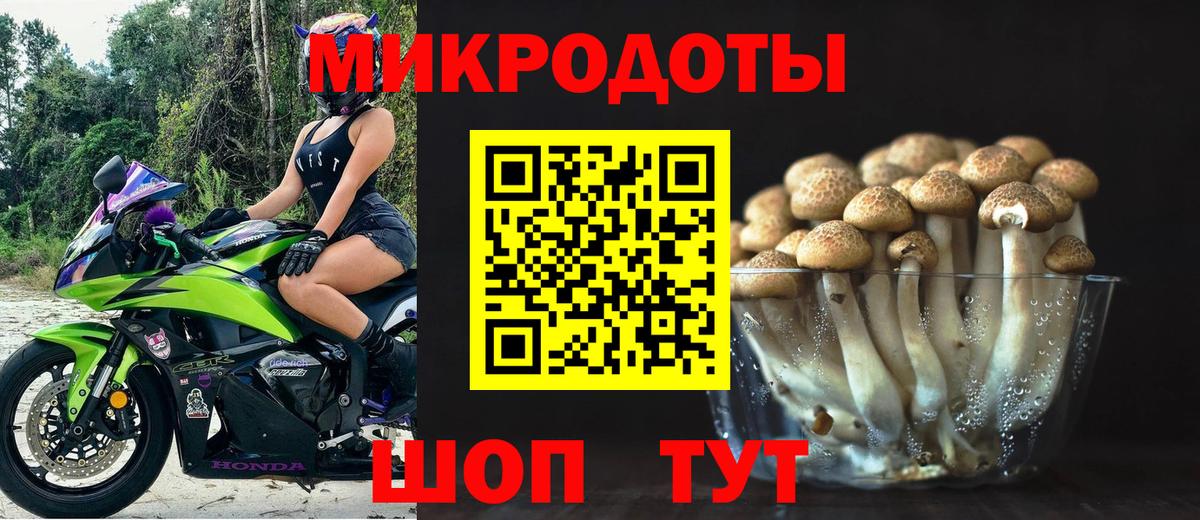 Псилоцибиновые грибы Psilocybine cubensis  Вход с VPN  наркота  Кизилюрт 